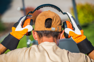 excess noise affects you in the workplace